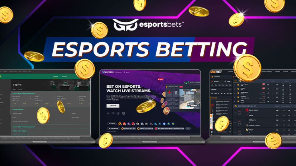 Chia sẻ cách xác định nhà cái cá cược Esport uy tín và hướng dẫn tham gia cá cược