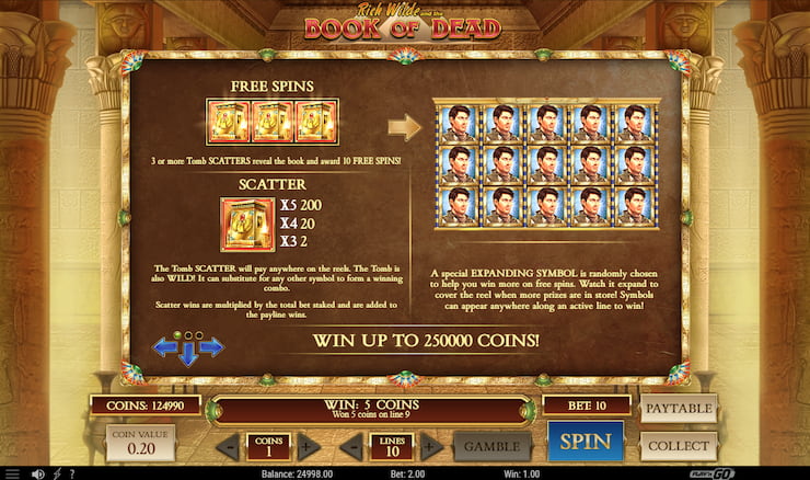 Book of Dead Slot Bonus Features Desktop