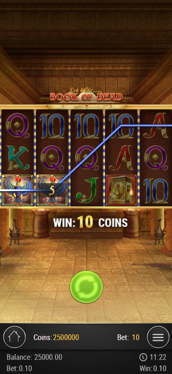 Book of Dead Slot Game Screen Mobile