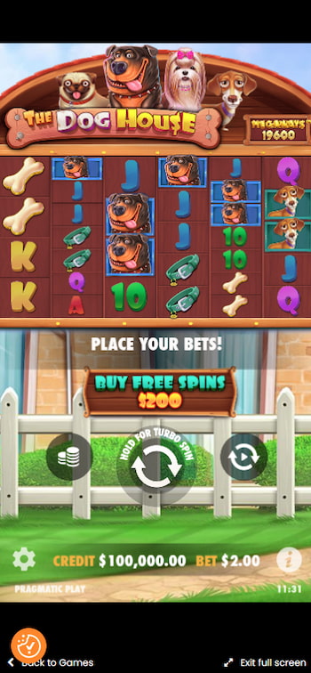 The Dog House Megaways Mobile Game Screen