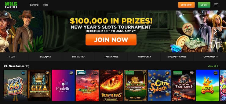 Wild casino homepage