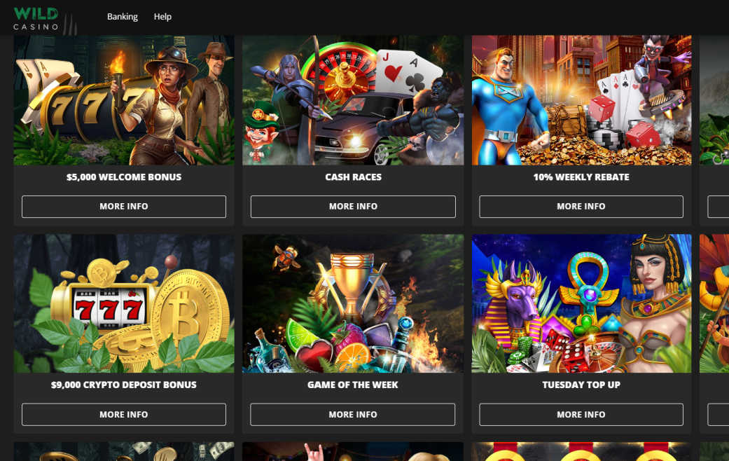 wild casino bonuses AU