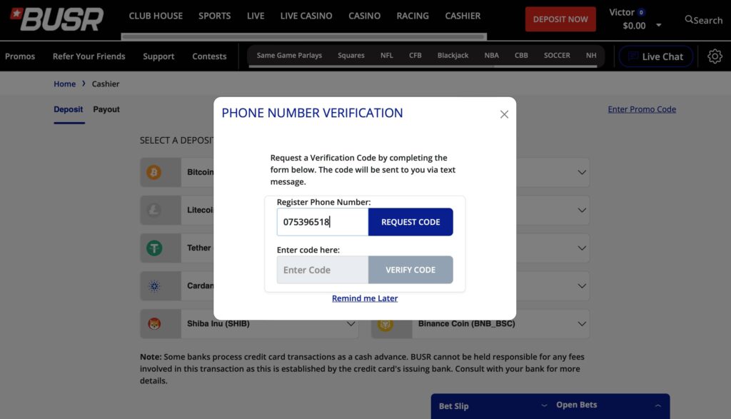 BUSR account verification