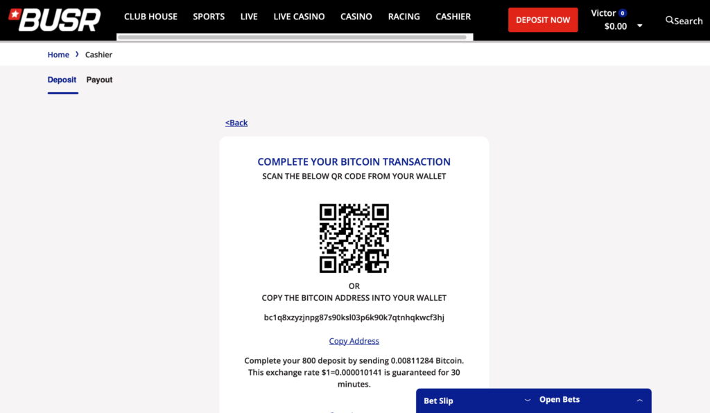 Completing first BUSR transaction