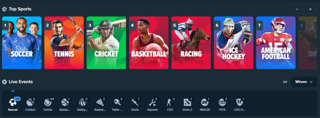 stake-casino-top-sports