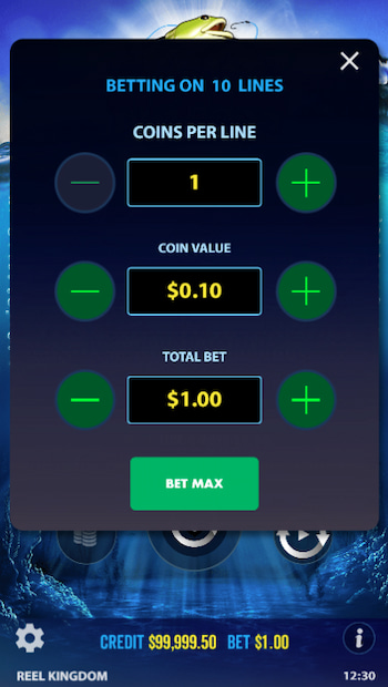 Big Bass Bonanza Slots Betting Options Mobile