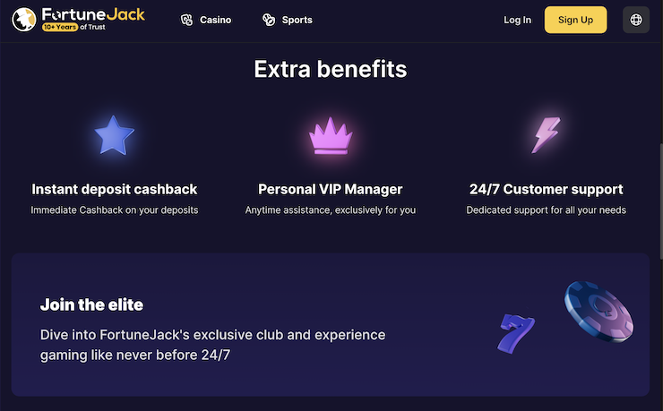 A snapshot of the FortuneJack VIP Program