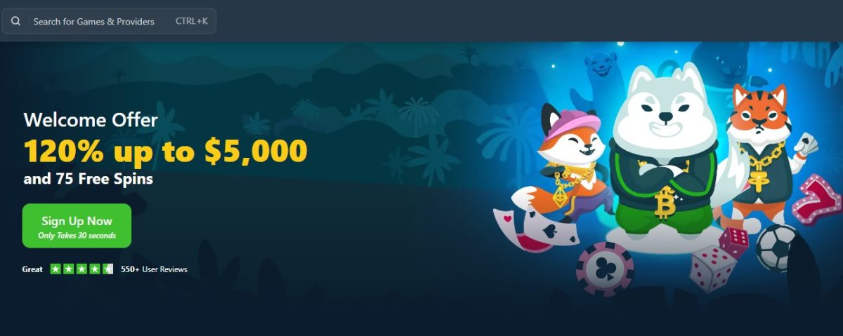 #8 Wild.io – Innovative Shiba Inu (SHIB) Casino with Creative Features