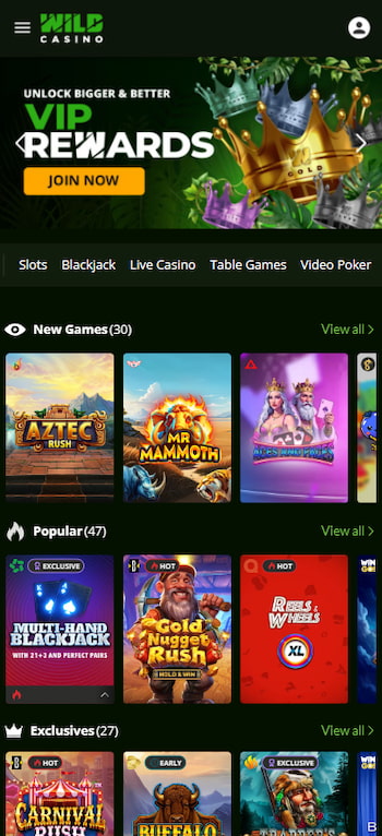 Wild Casino, one of the few real money online casinos that accept PayPal.