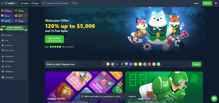 wild io metamask casino bonus and games