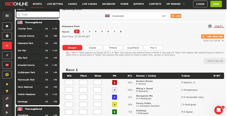 A screenshot of the BetOnline horse racing betting sites odds coverage.