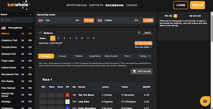An image showing the BetWhale horse racing betting sites page.