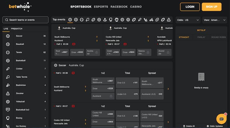 A snapshot of BetWhale, a fast payout US Sportsbook