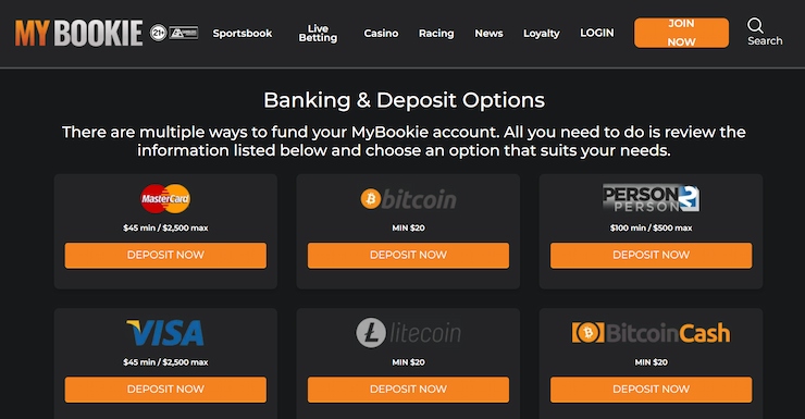 Screenshot of the MyBookie payment options page a top horse racing betting site in the US