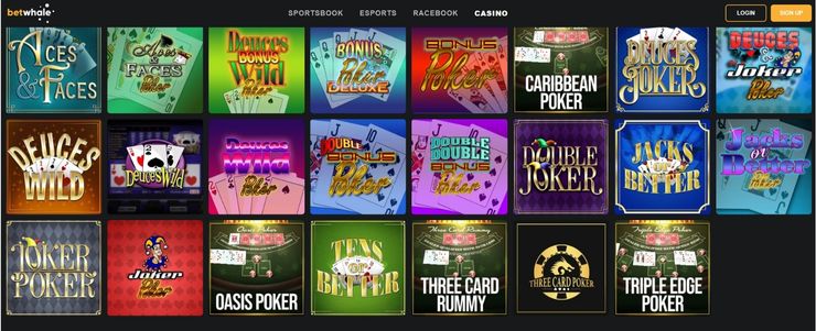 betwhale casino video poker games