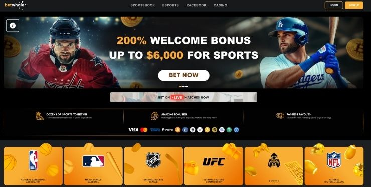betwhale sportsbook bonus and betting market