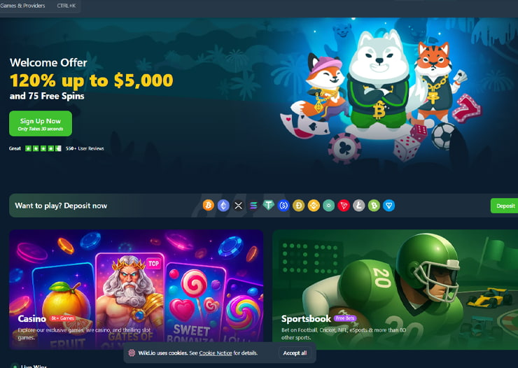 Wild.io – Best Monero Casino for High-Value Crypto Bonuses
