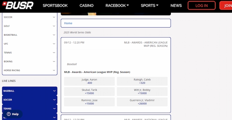 A screenshot of the MLB futures markets at BUSR.