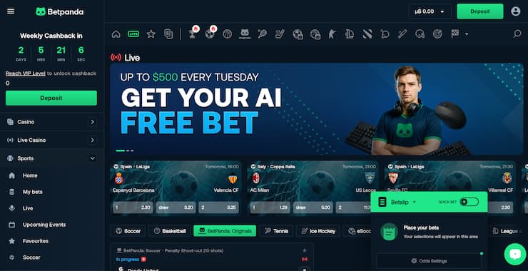 BetPanda sportsbook litecoin betting site homepage