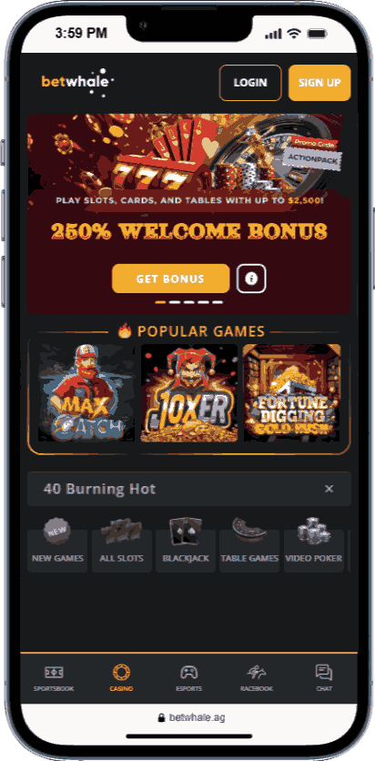 Step 1: Visit and Find the Game - 40 Burning Hot