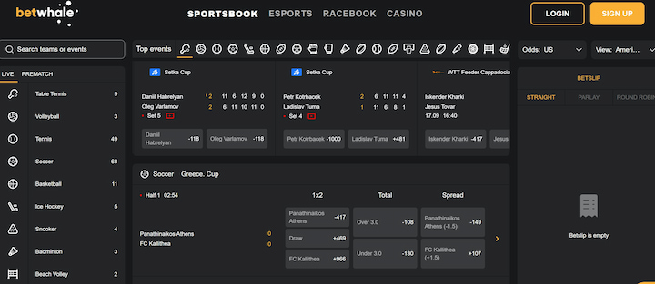 wc sportsbook betwhale games and betting market