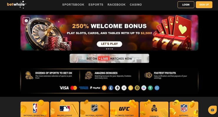 A snapshot of Betwhale, a top $20 minimum deposit casino USA.