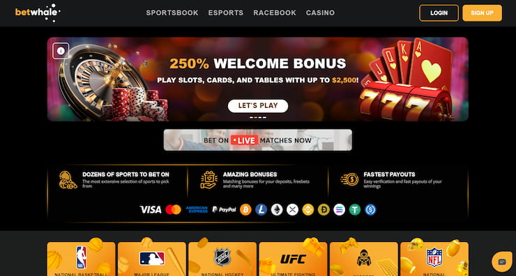 BetWhale new slot site with crypto payouts and sportsbook