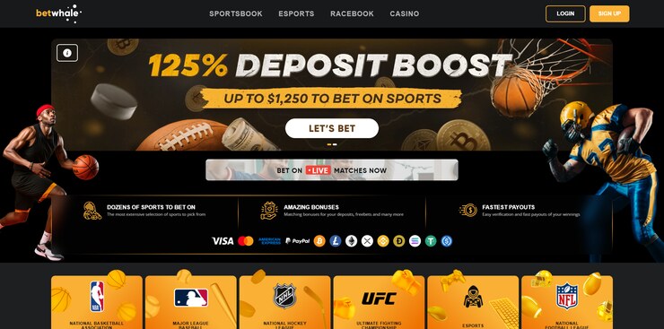 BetWhale – Overall Best Real Money Casino with Big Welcome Bonus