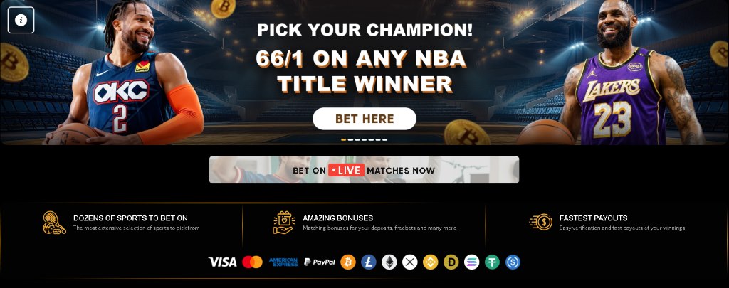 BetWhale modern platform with generous daily bonuses