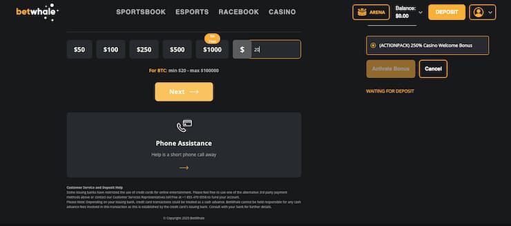 BetWhale casino $20 minimum deposit payment screen with bonus option