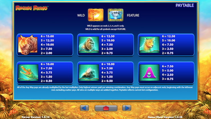 The paytable in the Raging Rhino slot machine.