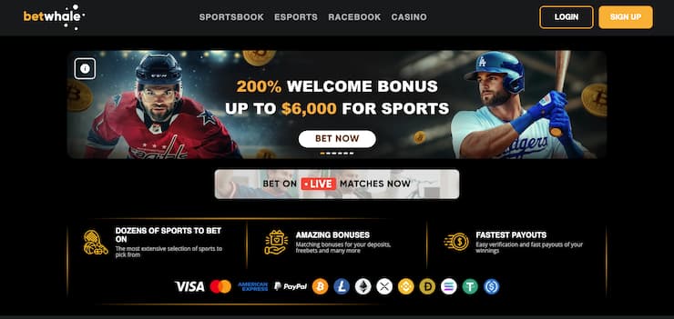 BetWhale online casino homepage with welcome bonus banner and payment methods displayed