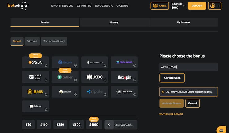 BetWhale cashier screen showing crypto and credit card deposit options with bonus code entry
