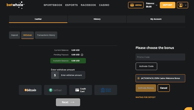 BetWhale withdrawal page showing Bitcoin, Tether, credit card, and bank wire payout methods at this real money casino