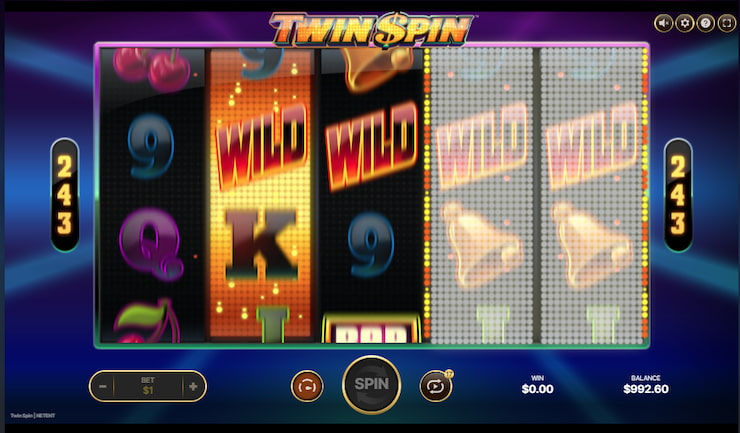 A screenshot of the twin Spin slot gameplay.