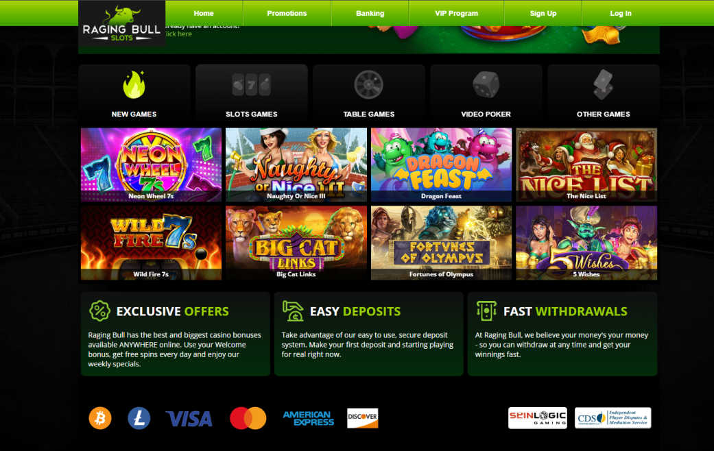 raging-bull-slots-payment-methods-on-homepage